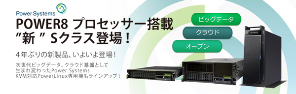 IBM Power Systems S