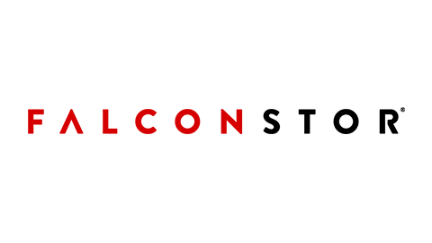 FalconStor/StorSafe